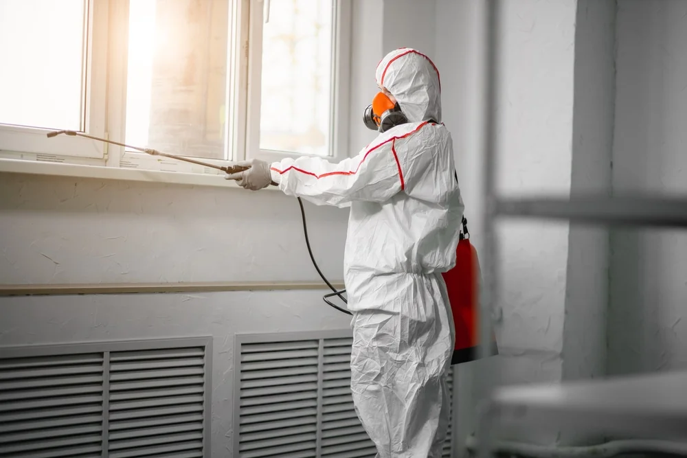 Professional mold remediation services in Atlantic Highlands, NJ